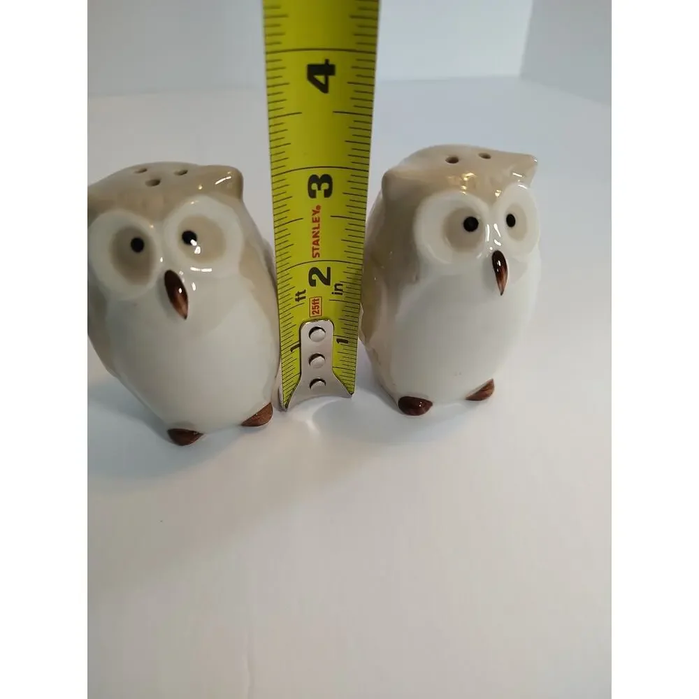 Pier 1 Owl Set Salt and Pepper Shaker